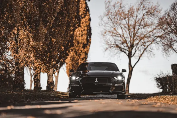 ΗιπποΖινο Καζίνο Εφαρμογή Android/iOS